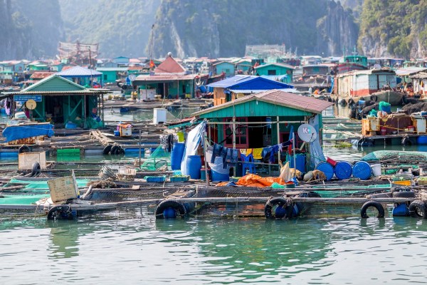 Laos Vietnam 5D 8025 Final