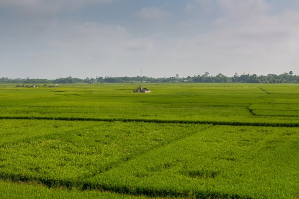 Laos Vietnam 5D 8198 Final