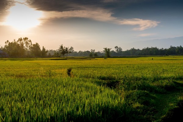 Laos Vietnam 5D 8269 Final