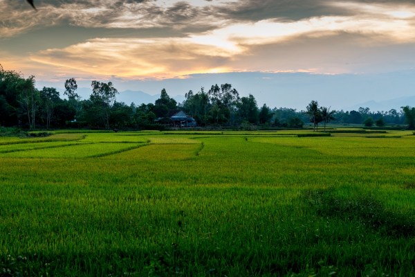 Laos Vietnam 5D 8281 Final