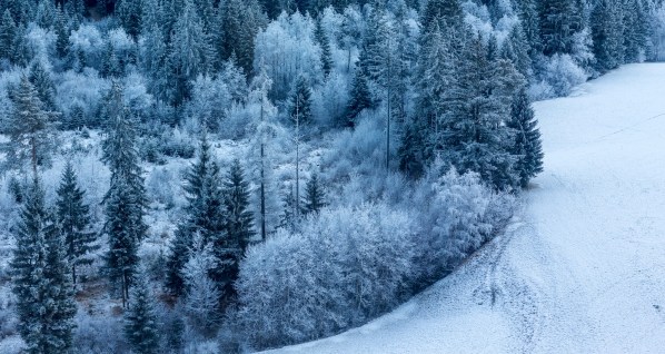 Zuoz 4626Final 5D Mk3