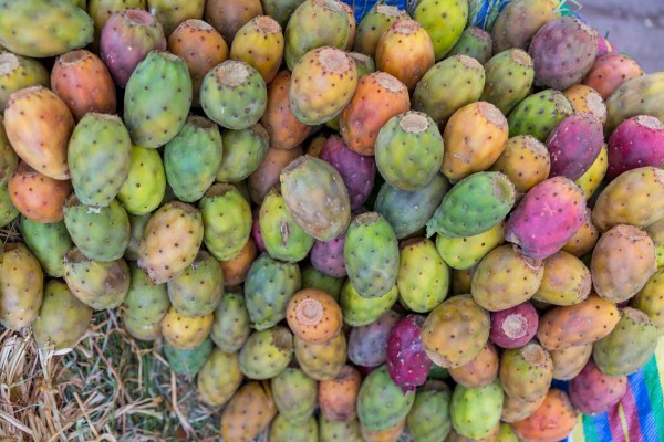 Suedamerika 1059 Final 5DMk3