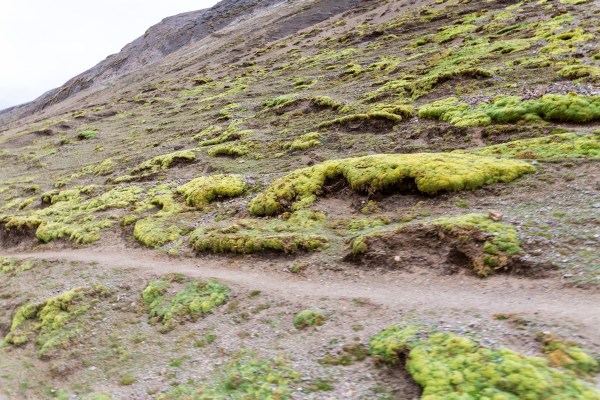 Suedamerika 1201 Final 5DMk3