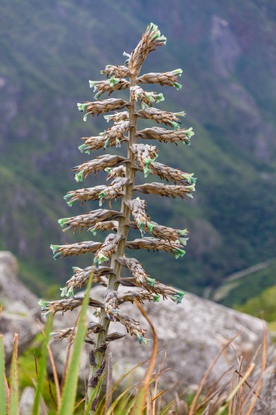 Suedamerika 1422 Final 5DMk3