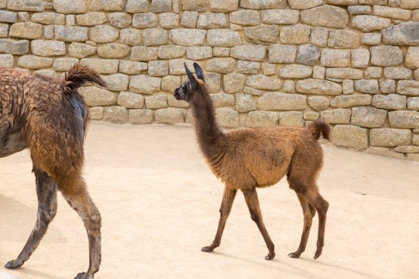 Suedamerika 1442 Final 5DMk3