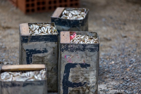 Suedamerika_1728-Final-5DMk3.jpg Suedamerika 1728 Final 5DMk3