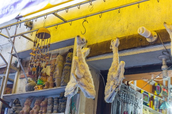 Suedamerika 1867 Final 5DMk3