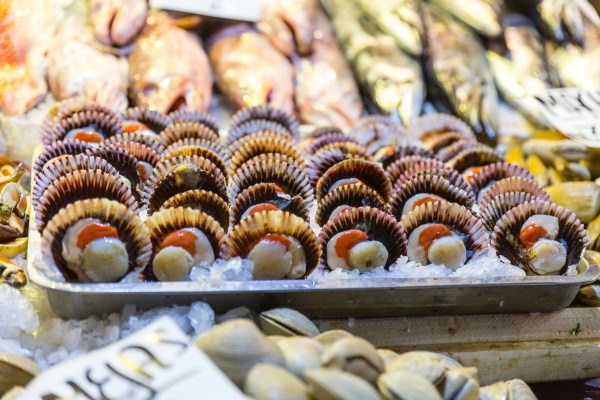 Suedamerika_1940-Final-5DMk3.jpg Suedamerika 1940 Final 5DMk3