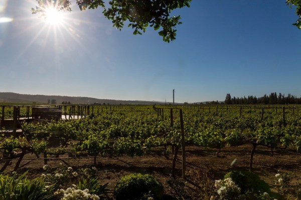 Suedamerika_2117-Final-5DMk3.jpg Suedamerika 2117 Final 5DMk3