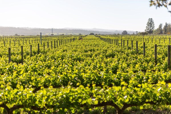 Suedamerika_2123-Final-5DMk3.jpg Suedamerika 2123 Final 5DMk3