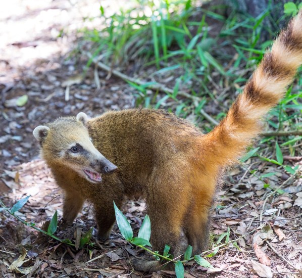 Suedamerika_2353-Final-5DMk3.jpg Suedamerika 2353 Final 5DMk3