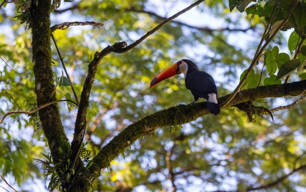 Suedamerika 2463 Final 5DMk3