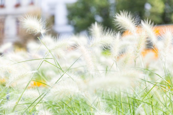 Prag 0071 Final 5DMk3