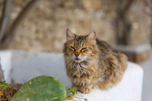 IMG 4119 Final 5DMk3