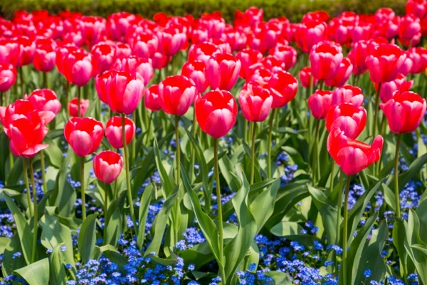 5D MK2 Rumaenien Moldawien  IMG 6131