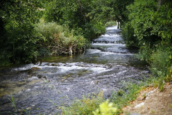 3711fdc3a3aeae708a2ae387dc6787e6.jpg 3711fdc3a3aeae708a2ae387dc6787e6