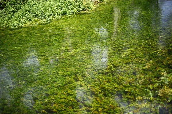 d17434aaba065c08f8dd60b1e913edaf.jpg D17434aaba065c08f8dd60b1e913edaf