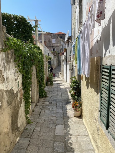 IMG_0025.jpeg IMG 0025