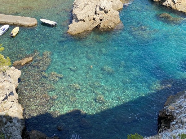 IMG_0041.jpeg IMG 0041