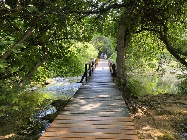 IMG_0198.jpeg IMG 0198