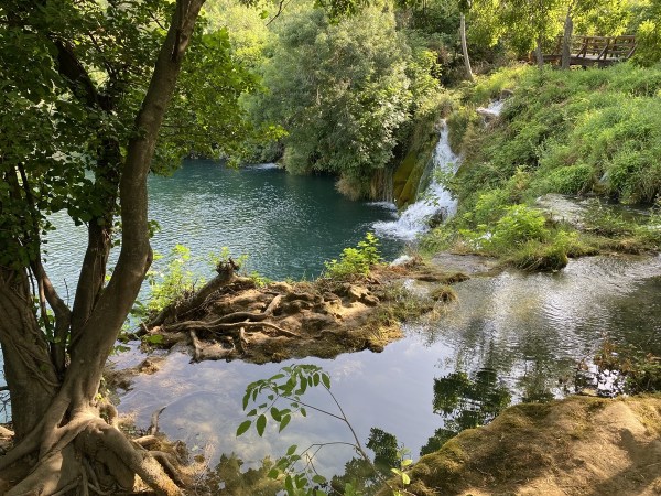 IMG_0218.jpeg IMG 0218