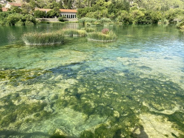 IMG_0256.jpeg IMG 0256