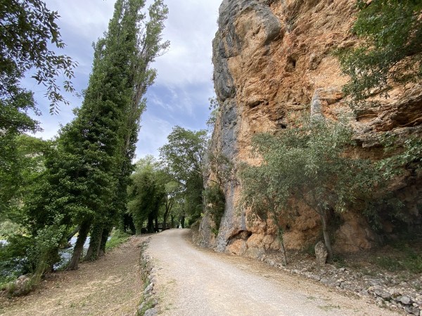 IMG_0325.jpeg IMG 0325