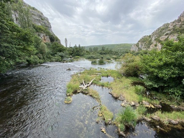 IMG_0326.jpeg IMG 0326