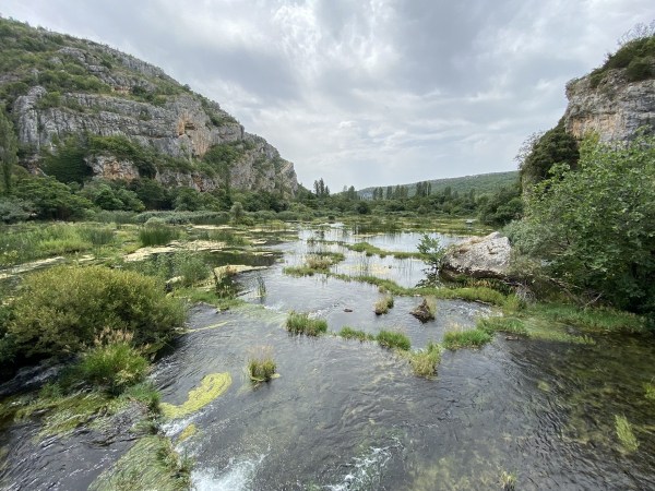 IMG_0332.jpeg IMG 0332