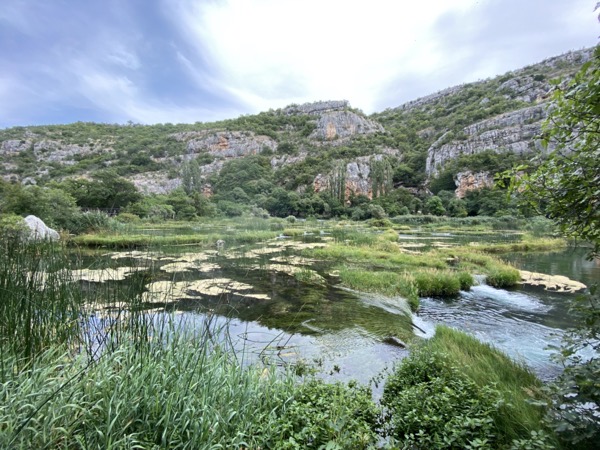 IMG_0334.jpeg IMG 0334