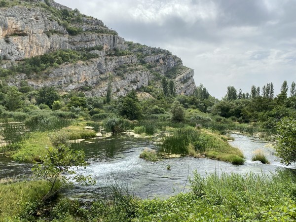 IMG_0335.jpeg IMG 0335