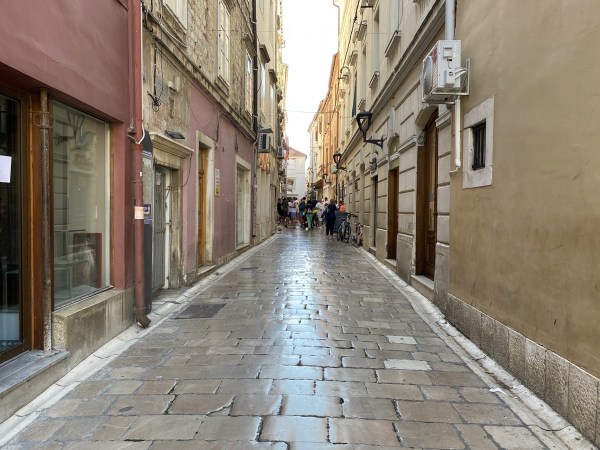 IMG_9853.jpeg IMG 9853