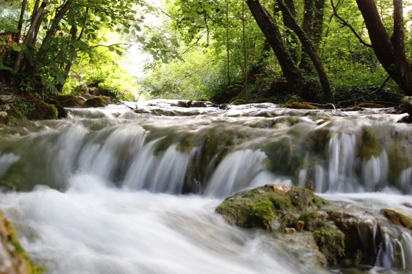 ae63a660257493cac305d8e6d1399085.jpg Ae63a660257493cac305d8e6d1399085