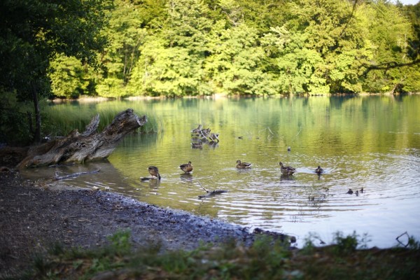 f887acf26002b3eb1c4bfa32413241e0.jpg F887acf26002b3eb1c4bfa32413241e0