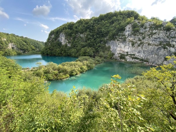 IMG_0406.jpeg IMG 0406