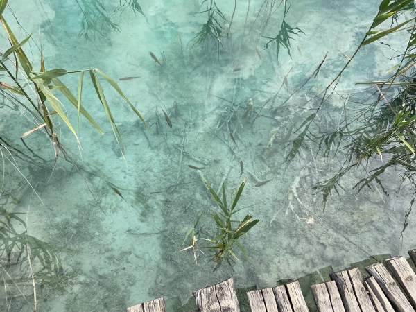 IMG_0421.jpeg IMG 0421