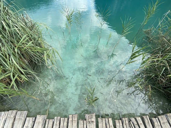 IMG_0422.jpeg IMG 0422