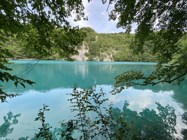 IMG_0429.jpeg IMG 0429