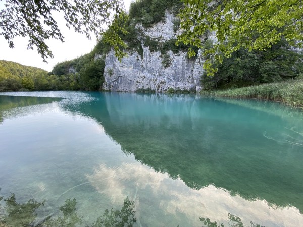 IMG_0445.jpeg IMG 0445