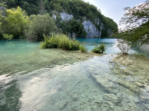 IMG_0448.jpeg IMG 0448