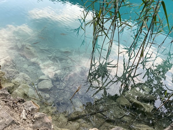 IMG_0450.jpeg IMG 0450