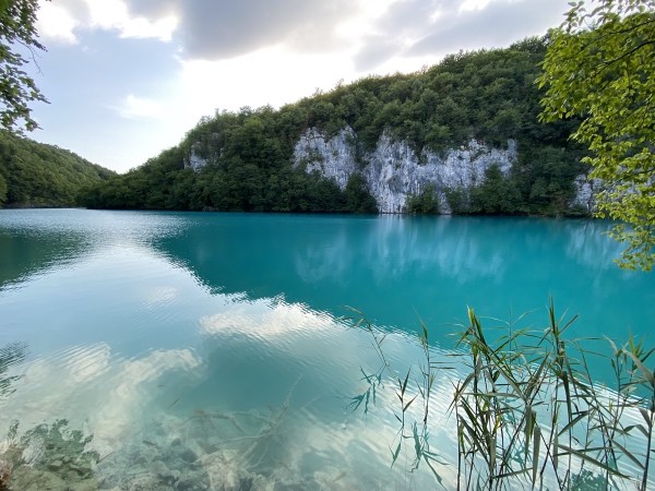 IMG_0451.jpeg IMG 0451