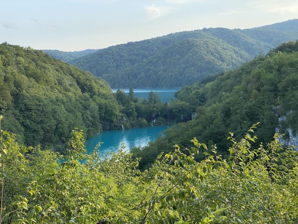 IMG_0483.jpeg IMG 0483