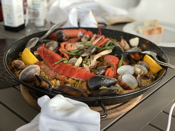 IMG_2215.jpeg IMG 2215