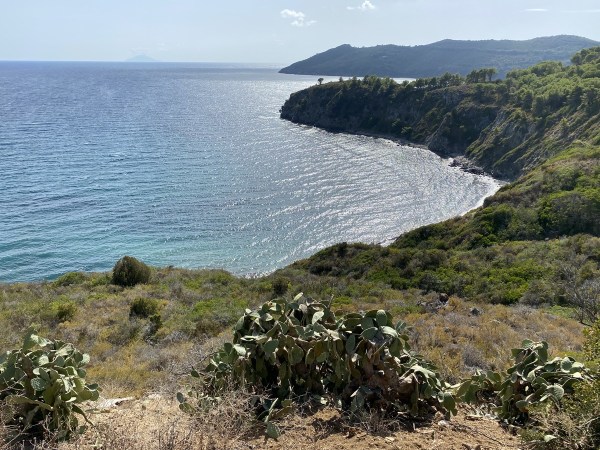 IMG_2338.jpeg IMG 2338