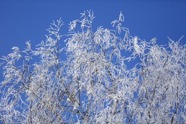 92ec099874f106d98a7389cac2f934d4.jpg 92ec099874f106d98a7389cac2f934d4