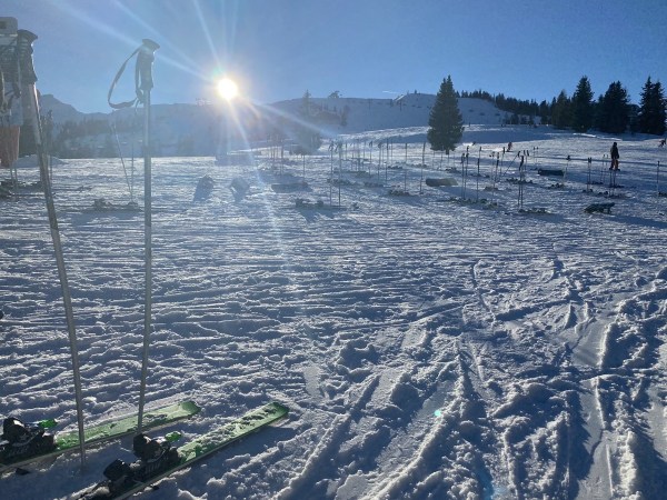 IMG_4729.jpeg IMG 4729