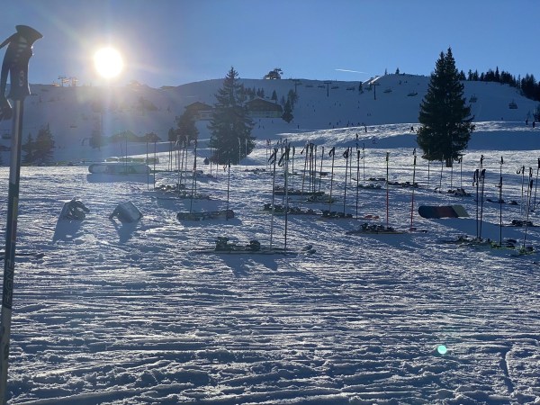 IMG_4730.jpeg IMG 4730