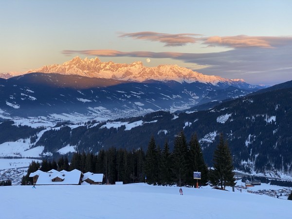 IMG_4754.jpeg IMG 4754