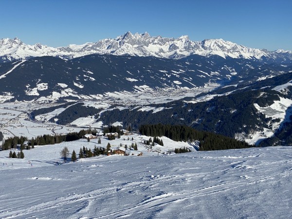 IMG_4843.jpeg IMG 4843